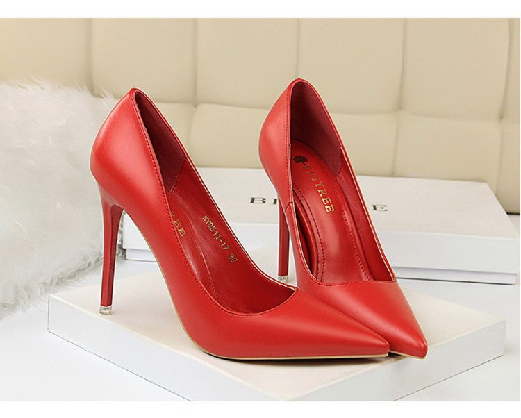 Brigitte Colorblock Pointed Stiletto Pumps