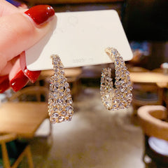 Lucinda's Sparkling Statement Earrings