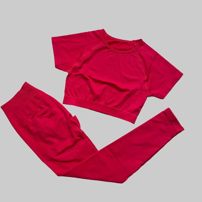 Yassmine Seamless Workout Gym Set
