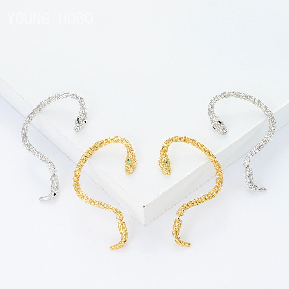 Twining Snake Shape Personality Metal Animal Ear Hook