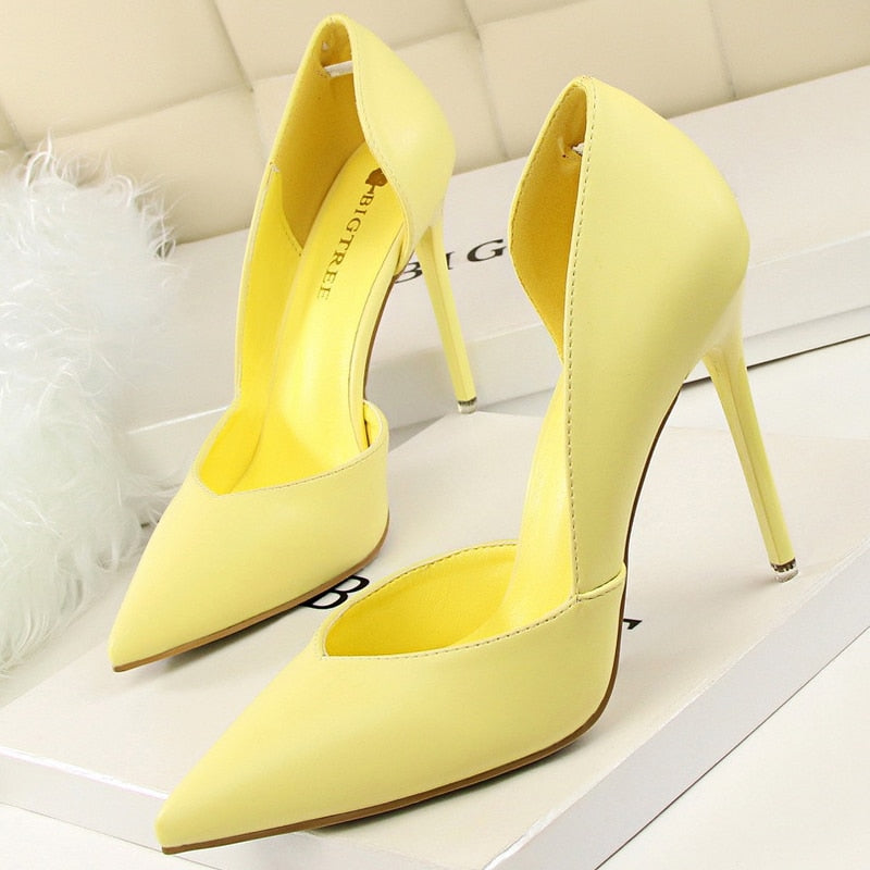 Brigitte Colorblock Pointed Stiletto Pumps