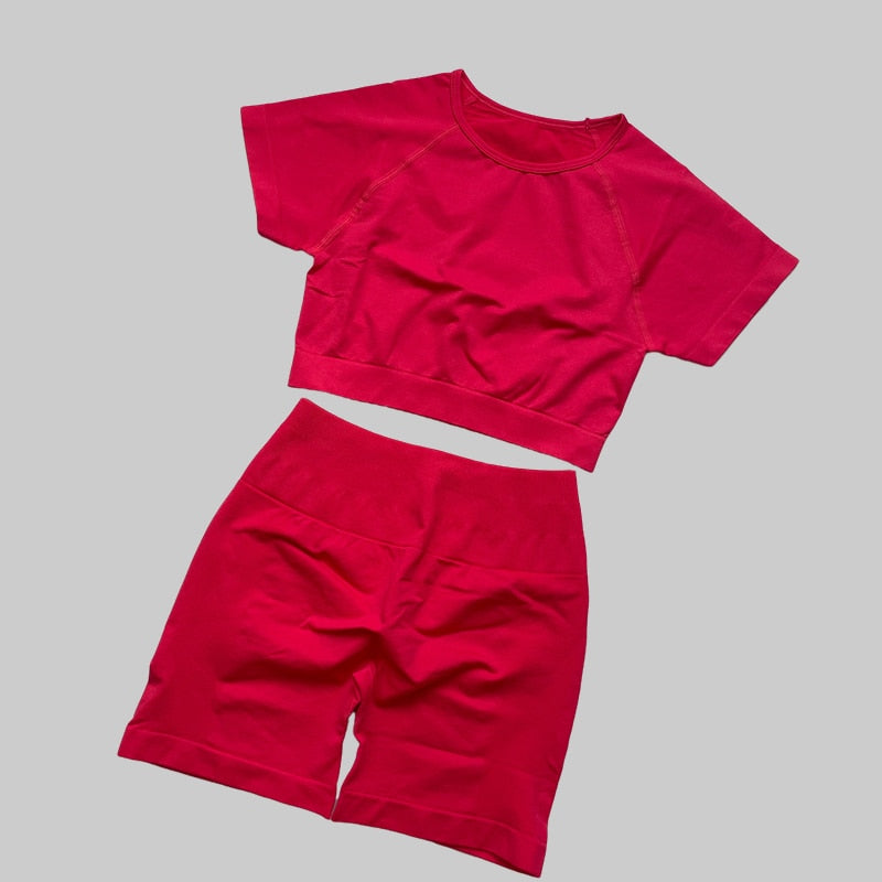 Yassmine Seamless Workout Gym Set