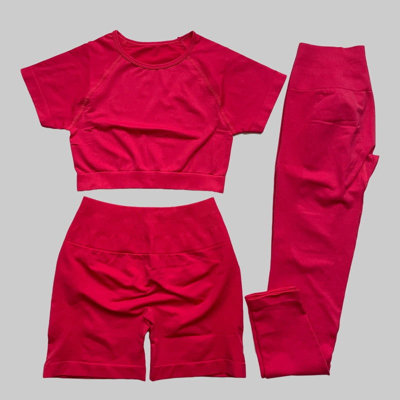 Yassmine Seamless Workout Gym Set
