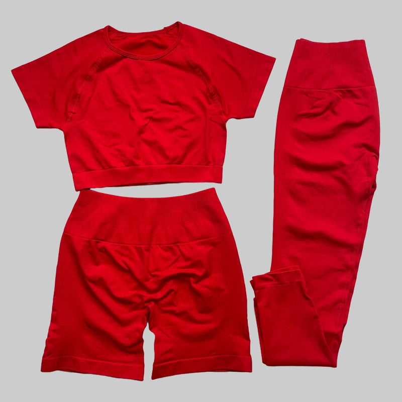 Yassmine Seamless Workout Gym Set