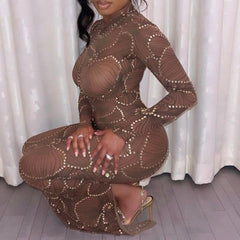 Long Sleeve Bodycon See Through Long Dress