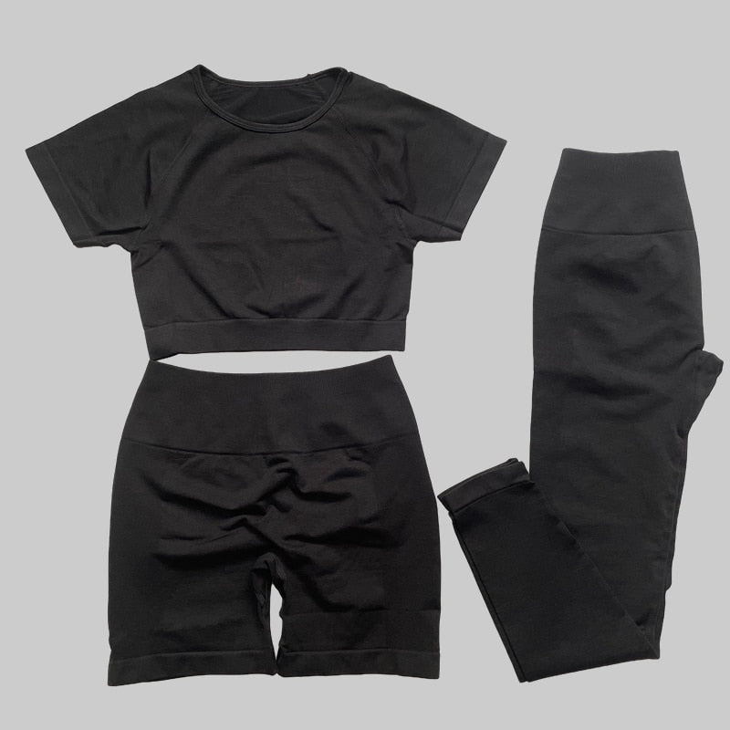 Yassmine Seamless Workout Gym Set