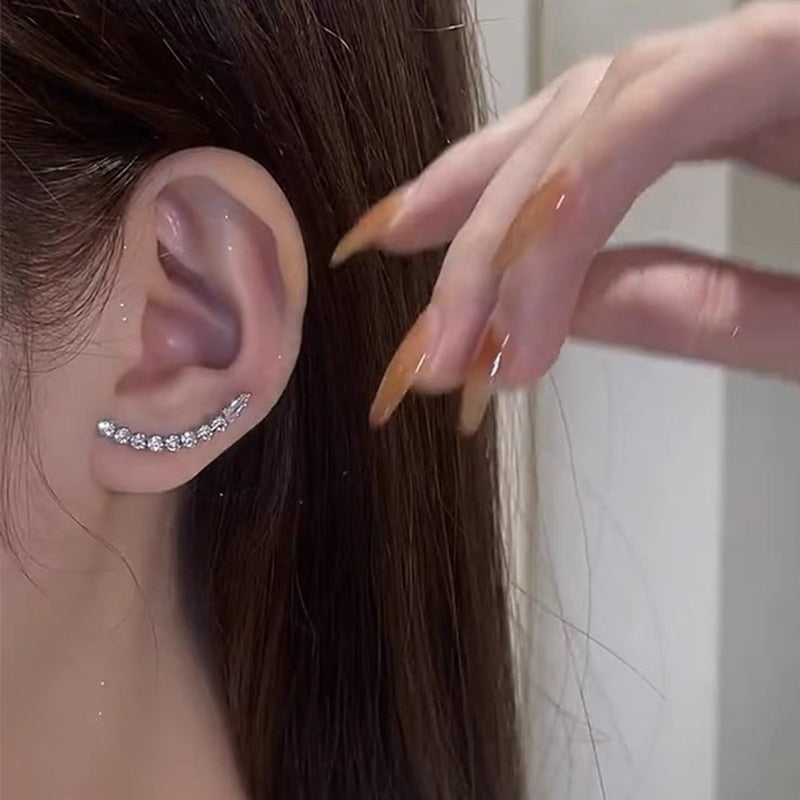 Lucienne Silver Rhinestone Drop Earring Collection