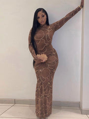 Long Sleeve Bodycon See Through Long Dress