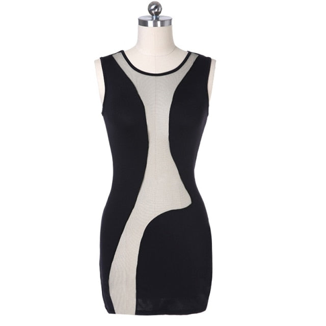 See Through Sleeveless Bodycon Dress