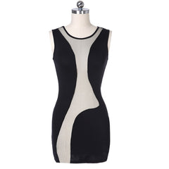 See Through Sleeveless Bodycon Dress