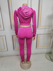 Two Piece Set Women Velvet Hoodied Long Sleeve Crop Top