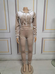 Two Piece Set Women Velvet Hoodied Long Sleeve Crop Top