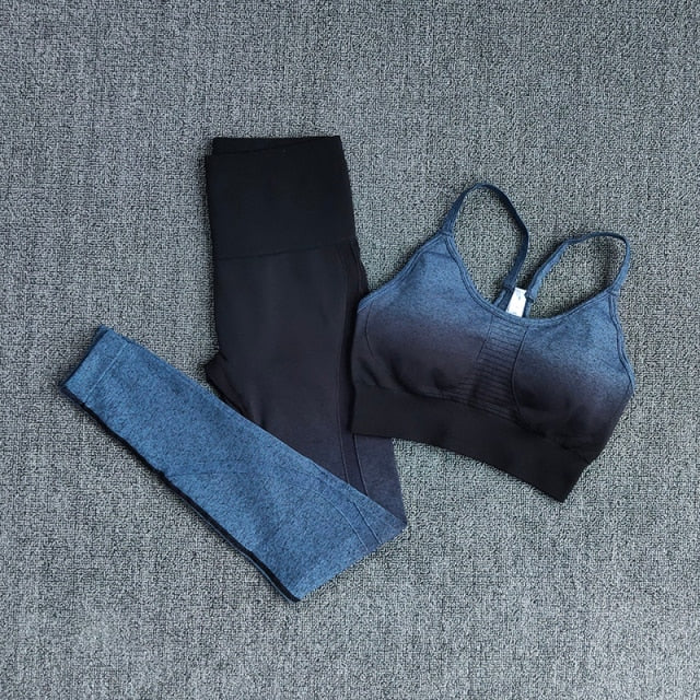 Ombre Women Yoga Set Workout Long Sleeve Crop Top Sports Bra Seamless