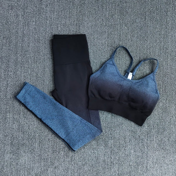 Ombre Women Yoga Set Workout Long Sleeve Crop Top Sports Bra Seamless
