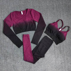 Ombre Women Yoga Set Workout Long Sleeve Crop Top Sports Bra Seamless
