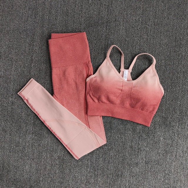 Ombre Women Yoga Set Workout Long Sleeve Crop Top Sports Bra Seamless