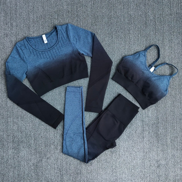 Ombre Women Yoga Set Workout Long Sleeve Crop Top Sports Bra Seamless