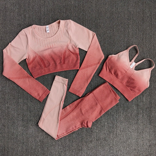 Ombre Women Yoga Set Workout Long Sleeve Crop Top Sports Bra Seamless