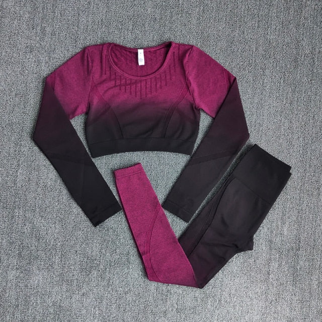 Ombre Women Yoga Set Workout Long Sleeve Crop Top Sports Bra Seamless