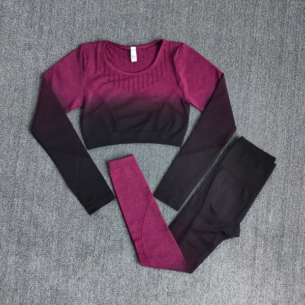 Ombre Women Yoga Set Workout Long Sleeve Crop Top Sports Bra Seamless
