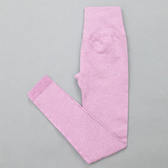 High Waist Sports Bra+ Legging Gym Clothing