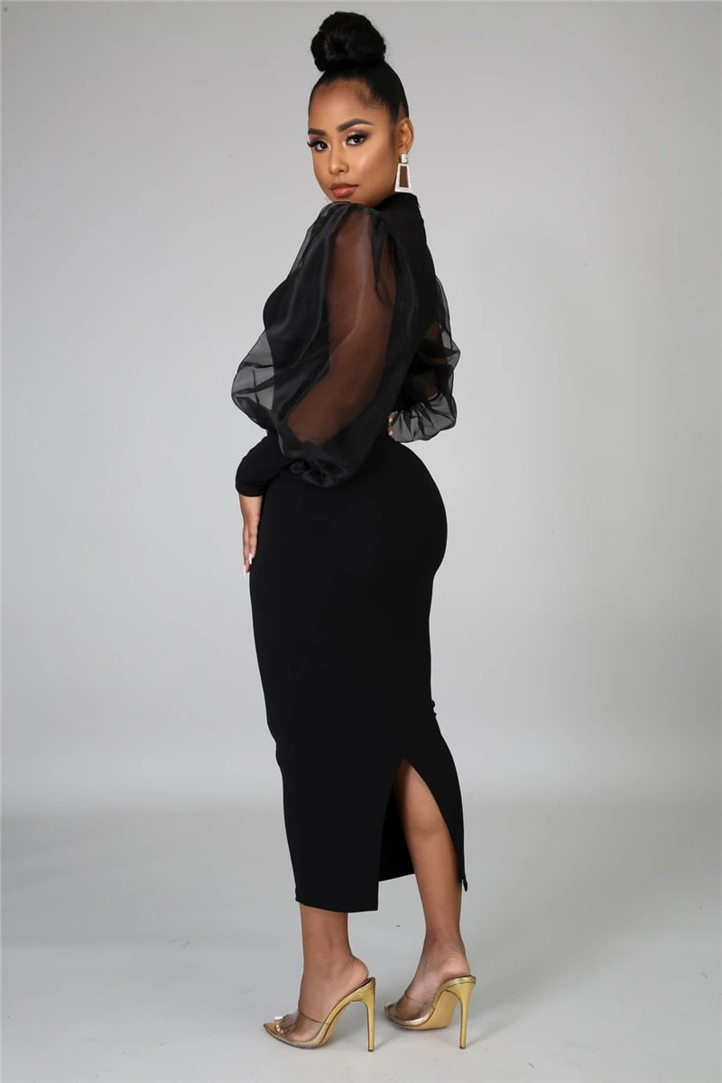 Mesh Puff Sleeve Sexy Bodycon Dress