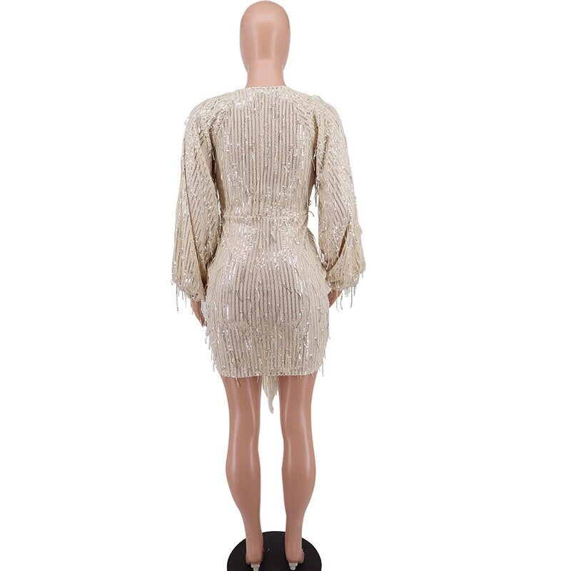 Sparkle Deep V Neck Draped Fringed Sequins Mini Dresses