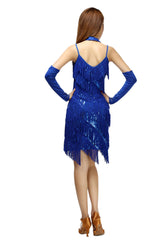 Tassel Dress Fringe Flapper Dress C-Neck Sequin